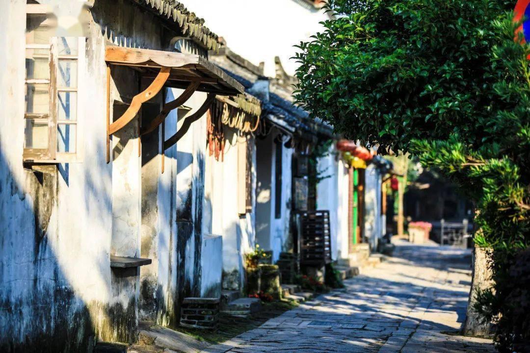 证监会：全面暂停限售股出借，坚决打击绕道减持、套现等行为